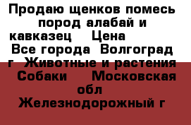 Продаю щенков помесь пород алабай и кавказец. › Цена ­ 1 500 - Все города, Волгоград г. Животные и растения » Собаки   . Московская обл.,Железнодорожный г.